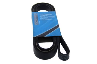 CUREA TRANSMISIE CU CANELURI