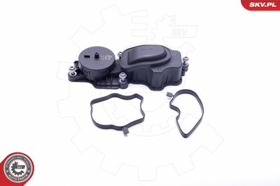 Valve, crankcase ventilation 31SKV069