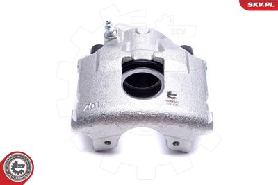 Brake Caliper 56SKV262