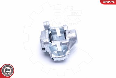 Brake Caliper 42SKV733