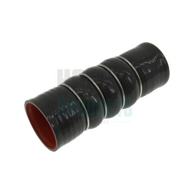 FURTUN EAR SUPRAALIMENTARE