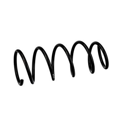 ARC SPIRAL EIBACH R10108 6