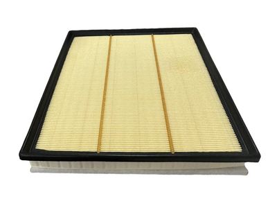 FILTRU AER CHAMPION CAF101229P 1