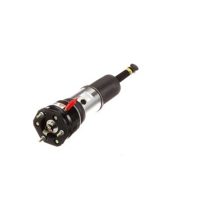 LUFTFEDERBEIN Arnott AS2856 48