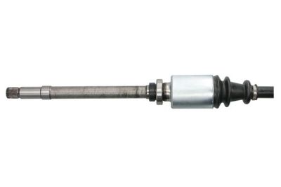 Drivaxel PASCAL G2C006PC för CITROËN