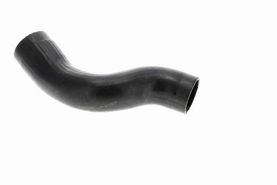 FURTUN EAR SUPRAALIMENTARE ACKOJA A370110 3