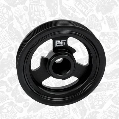 FULIE CUREA ARBORE COTIT ET ENGINETEAM PC0001 2