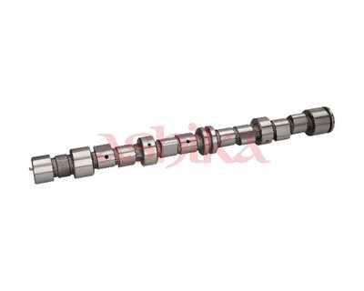 разпределителен вал ASHIKA 16DW009