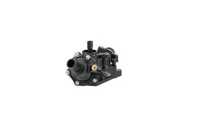 TERMOSTAT LICHID RACIRE NRF 725078 10