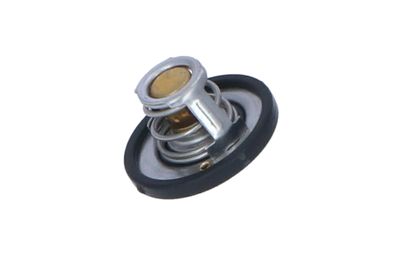 TERMOSTAT LICHID RACIRE NRF 725187 5