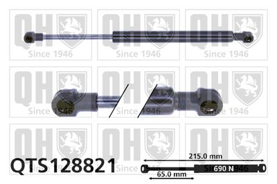 Газовая пружина, крышка багажник QUINTON HAZELL QTS128821 для BMW Z3