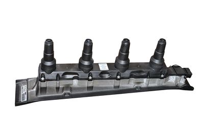 запалителна бобина EFI AUTOMOTIVE 155421