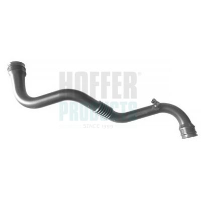 FURTUN EAR SUPRAALIMENTARE