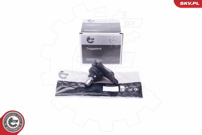 ARTICULATIE SARCINA/GHIDARE