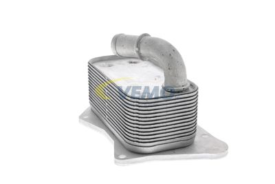 RADIATOR ULEI ULEI MOTOR VEMO V40602099 21