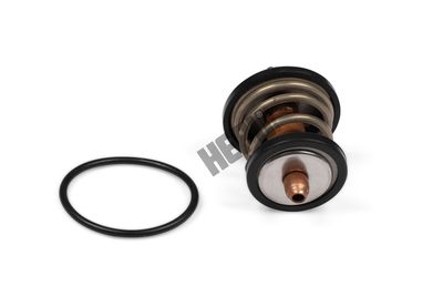 TERMOSTAT LICHID RACIRE HEPU TM1003 1