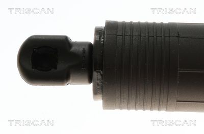 AMORTIZOR PORTBAGAJ TRISCAN 871024301 2