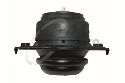 TRUCKTEC AUTOMOTIVE Variklio montavimas