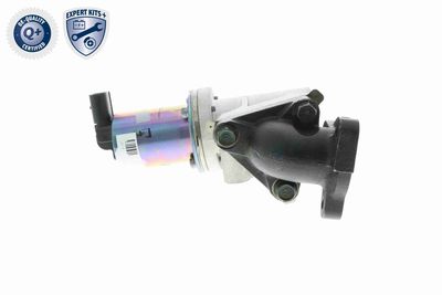 SUPAPA EGR ACKOJA A53630001 3