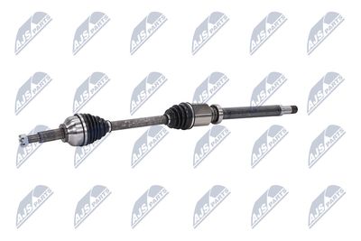 PLANETARA NTY NPWFR074 21