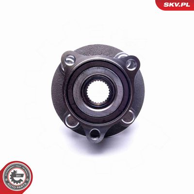 SET RULMENT ROATA ESEN SKV 29SKV431 2