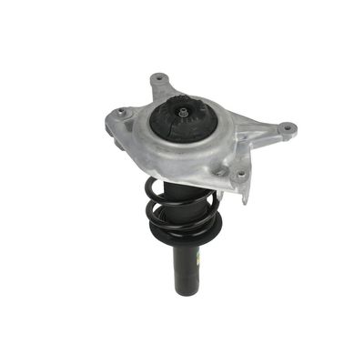 AMORTIZOR Arnott SK3842 68