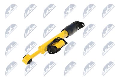 AMORTIZOR NTY ACH123 20