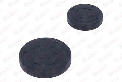 CHIT LANT DE DISTRIBUTIE BIRTH 6501 11