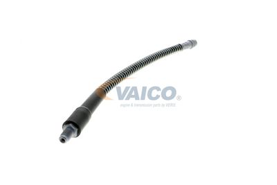 FURTUN FRANA VAICO V464113 51