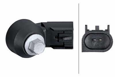 HELLA Knock Sensor 6PG 013 114-601