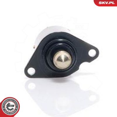 Tuščiosios eigos valdymo vožtuvas, oro tiekimas