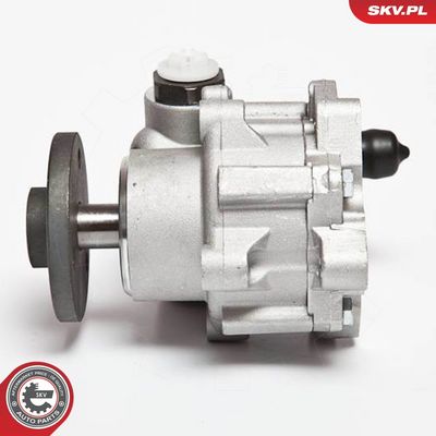 Hydraulikpumpe, Lenkung
