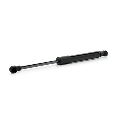 газов амортисьор, капак на двигателя RIDEX 514G0205