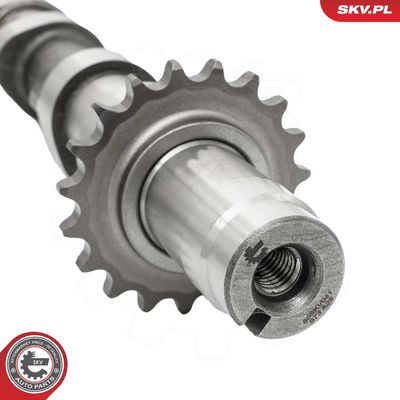 AX CU CAME ESEN SKV 80SKV041 3