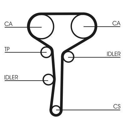 CONTINENTAL CTAM Zahnriemen