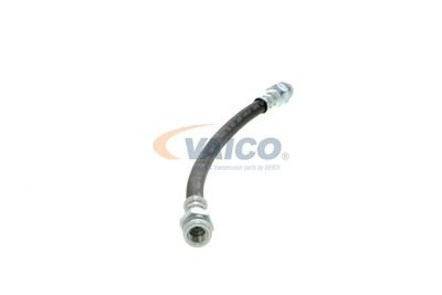 FURTUN FRANA VAICO V102309 40