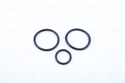 RADIATOR RACIRE MOTOR NISSENS 606799 4