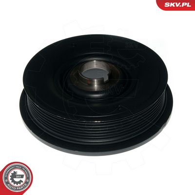 FULIE CUREA ARBORE COTIT ESEN SKV 95SKV324