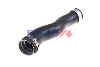 FURTUN EAR SUPRAALIMENTARE BOGAP B1711137 3
