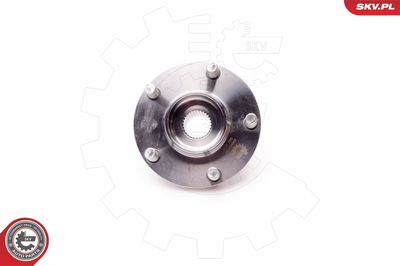 Wheel Bearing Kit 29SKV135
