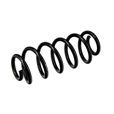 ARC SPIRAL EIBACH R10711 5