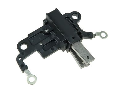 Halter, Kohlebürsten