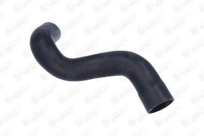 FURTUN EAR SUPRAALIMENTARE BIRTH 55817 2