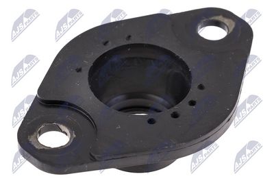 CAPAC INJECTOR NTY BWPPL002A 2