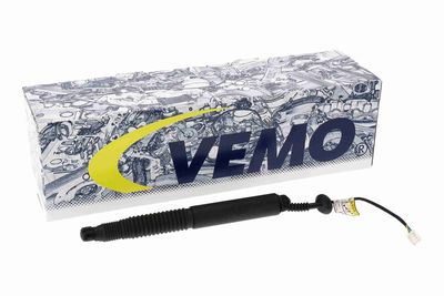 MOTOR ELECTRIC HAION VEMO V58550009 1