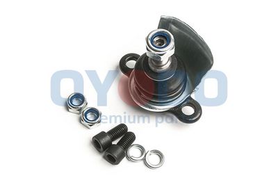 Šarnyras / girgždukas