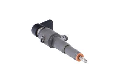 INJECTOR REMANTE 002003001356R 51