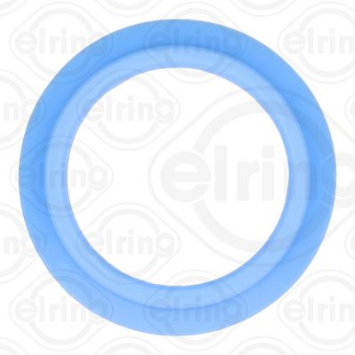 GARNITURA CONDUCTA SUPAPA-AGR ELRING 768740 1