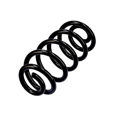 ARC SPIRAL EIBACH R10553 3