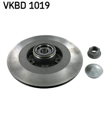 SKF VKBD 1019 Гальмівні диски 